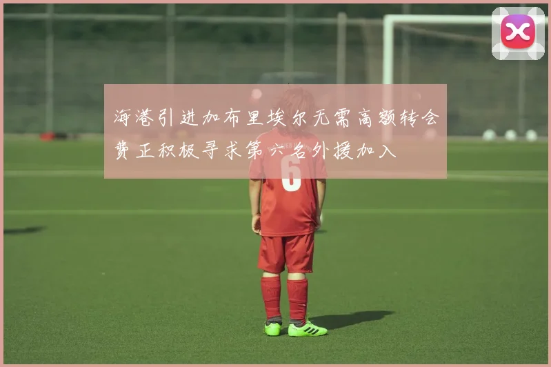 海港引进加布里埃尔无需高额转会费正积极寻求第六名外援加入