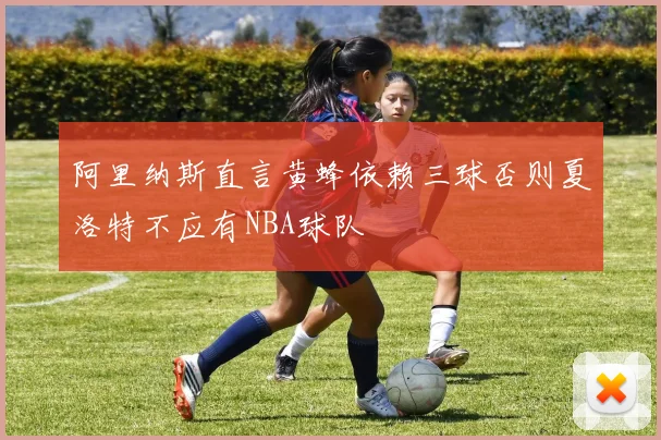 阿里纳斯直言黄蜂依赖三球否则夏洛特不应有NBA球队
