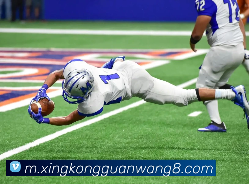 星空官网平台生态图